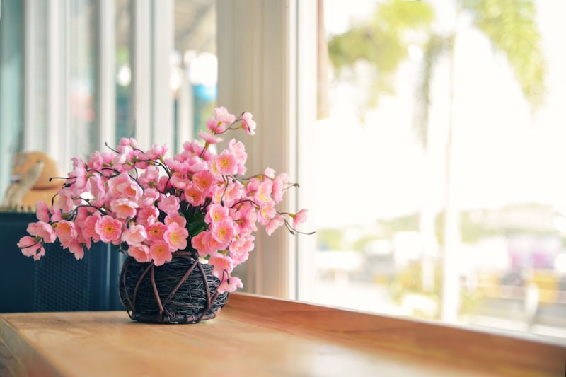 Pink flowers on windowsill.